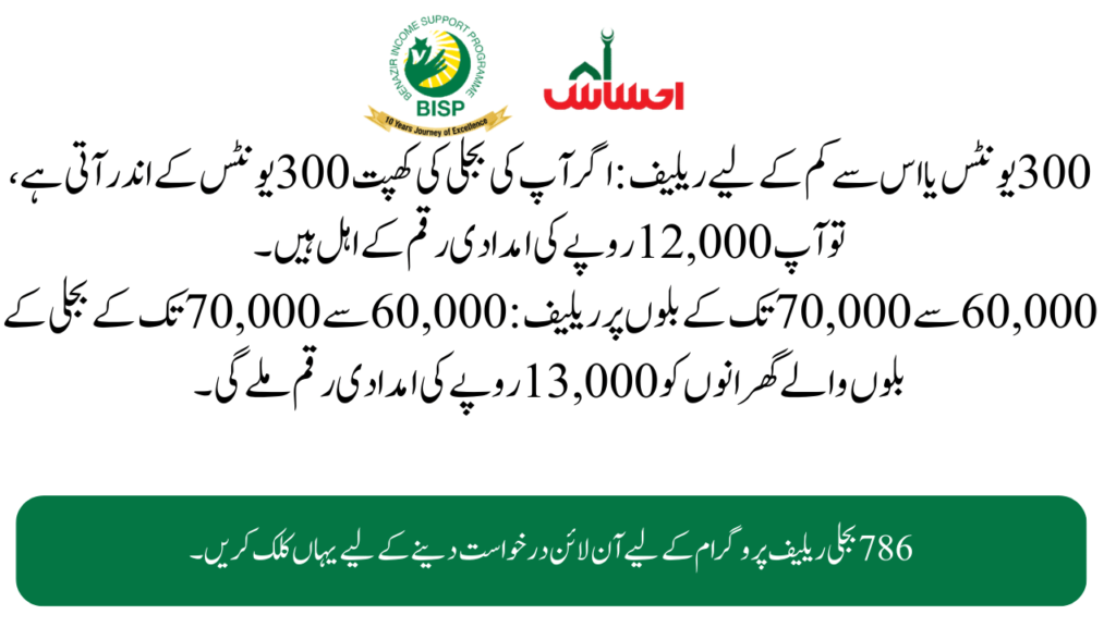 Understanding the Need for the Ehsaas Bijli Relief Program