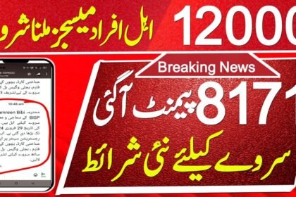8171 Survey Ehsaas Kafalat 12000 New Update