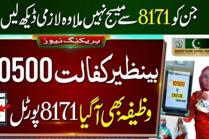 Benazir Kafalat Program New Installment February