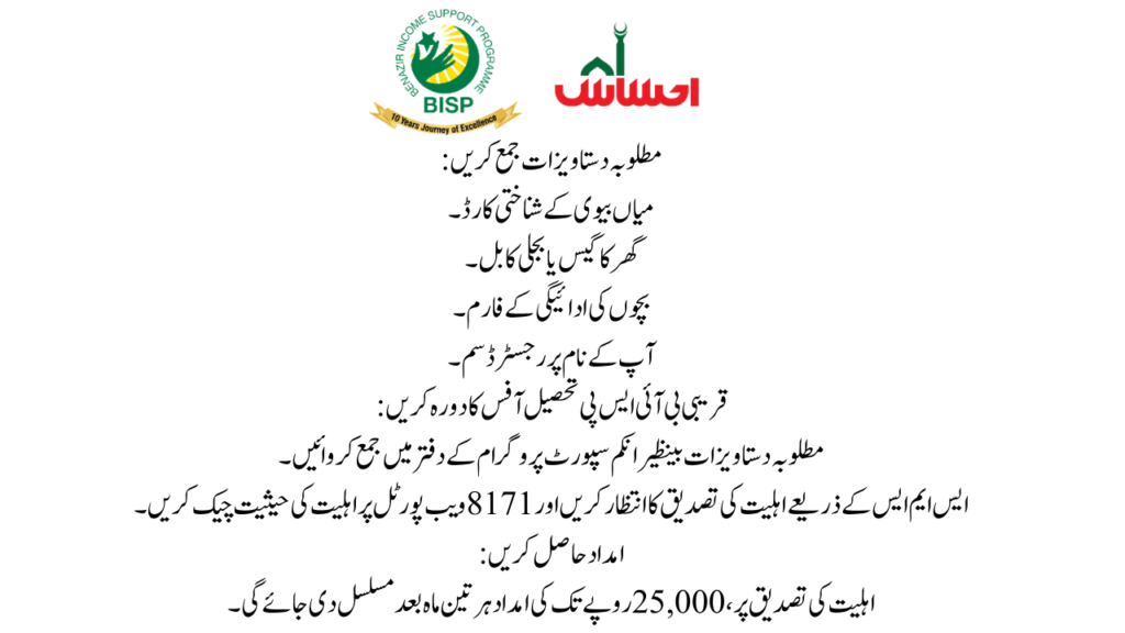 Understanding BISP and Its Role