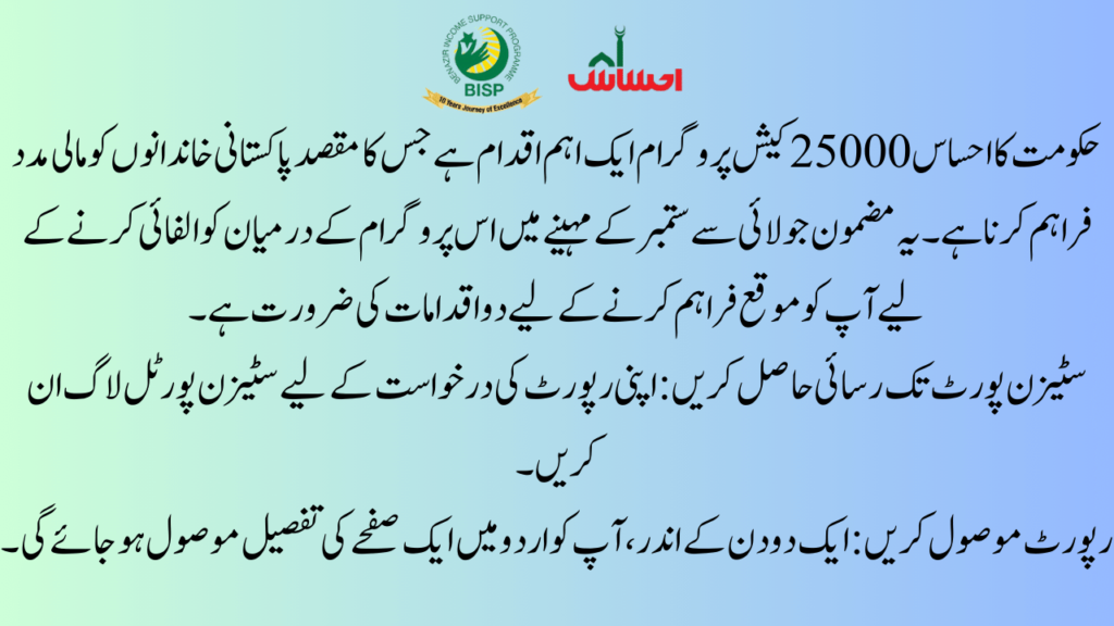 Step 1: Obtain and Review Your Ehsaas 25000 Ineligibility Report