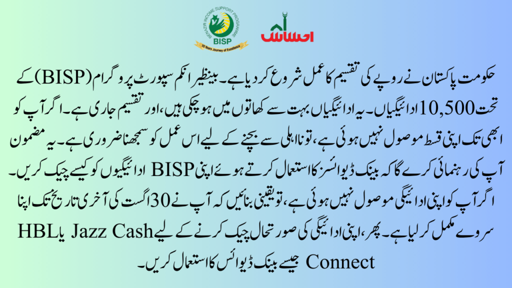 Understanding the 10500 BISP Payments